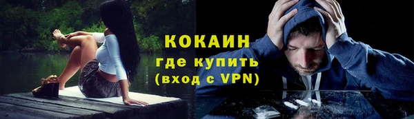 СК Алексин