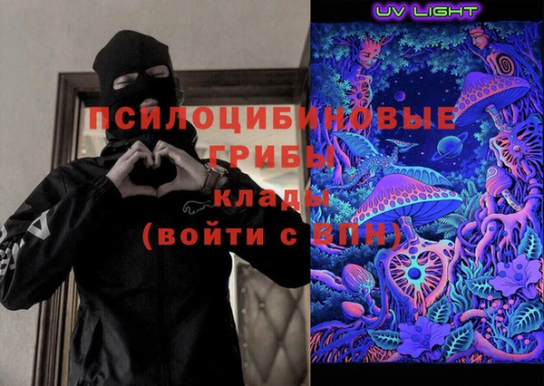 СК Алексин